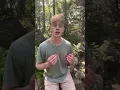 Comment and I will sign you up
