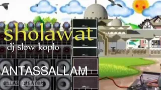 dj sholawat antassallam koplo versi animasi whatshap 30 detik