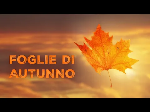 Foglie di Autunno - Mini documentario