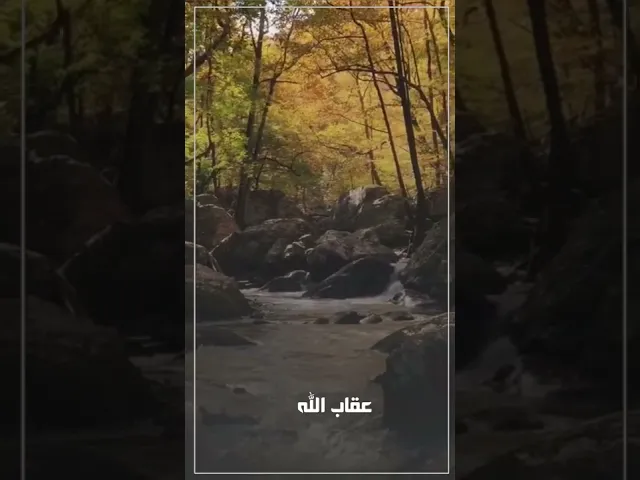 ⁣حجايه تفيدك .. المعصية تذهب بنور القلب .  #لقاء_الله #الشيخ_رائد_الساعدي