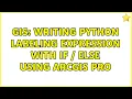 GIS Writing Python Labeling Expression with If Else using ArcGIS Pro