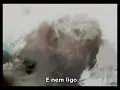 CéU _Cangote [legendado]