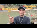 Lagu Xin Giấy Phép Nuôi Chim Ở Đâu | Những Loài Chim Nào Được Nuôi Để Không Vướng Lao Lý 