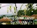 Download Lagu Asep surya tihang janur cover by:YAYAN
