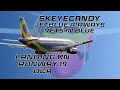 Skeye Candy jetBlue Vets In Blue landing on Runway 19 at DCA 4K