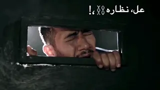 أفجر حالات واتس     مهرجان شرطة وصداده   شويش أمانه فيه زيارة متجيش تقف عل  نظارة  حمو الطيخا  دندنها
