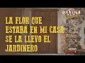 Ramon Ayala - Del Otro Lado Del Porton (Video Lyric Oficial)