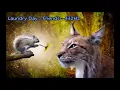 Laundry Day - Friends (432Hz)