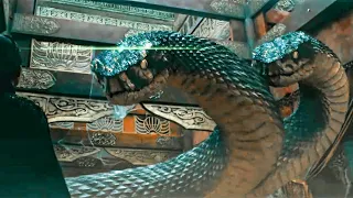 two head big snake hindi voice over film explained in hindi urdu summarized sci fi