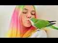 I m Dating a Parrot