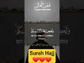 Lagu Surah Hajj by Hafeez Kamrul Alom #tilawatquran #quran #qurantilawat #viralshorts