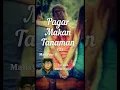Download Lagu Pagar Makan Tanaman (2) - Mansyur S version Kusdi Harja #shortscover