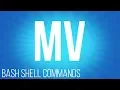 BASH Shell commands commands for linux