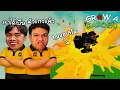 Download Lagu Grow a Garden Roblox | หัวแถวกายปริม ทำผลยักษ์ 1,000 กิโล