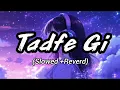 Tadfe Gi (Official Video) Jorge Gill | Jorge Gill Music | Punjabi Song 2023  | Pro Media