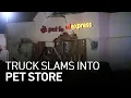 Driver Dies After Crashing Into Pet Store in Livermore