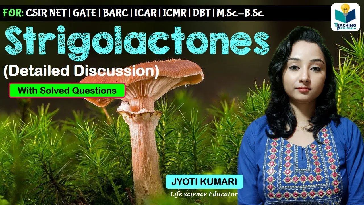 Strigolactones ( Detailed Discussion )  || Plant Hormone