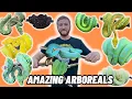 A Private Tour Of The Most EPIC Reptile Collection Some of the BEST reptiles in the WORLD