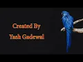 Ghodey Pe Sawaar -  Lyrics | Qala | Tripti Dimri | Amit Trivedi, Sireesha Bhagavatula ||