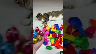 Cat Barsik Beads ⭕🌈 Satisfying reverse video