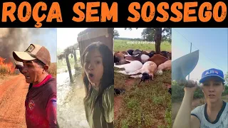 DUREZA NA ROÇA: batidão, prejuízo e as tragédias que assolam o homem do campo.