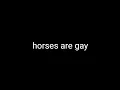 horses are gay