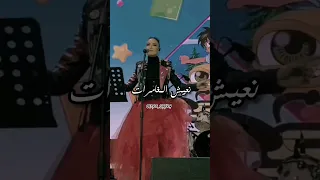 هيا يا صديقي حفل رشا رزق أدغال الديجيتال 