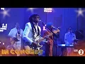 CHIC featuring Nile Rodgers - I Want Your Love
