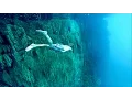 Download Lagu KAYANGAN LAKE, CORON, PHILIPPINES