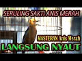 Download Lagu MASTERAN SERULING SAKTI ANIS MERAH, CEPAT GACOR
