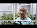 Michigan marijuana businesses brace for 24 tax on Jan 1