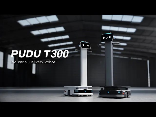 T300 Delivery