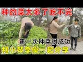 菜园里的菜多到吃不完, 摘去和好朋友一起分享  纯天然的蔬菜, 第一次种菜非常成功