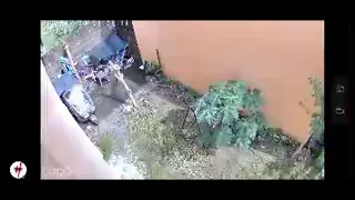             دندنها
