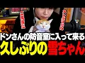 Download Lagu 【雑談】配信中に防音室に入って来た久しぶりの雪ちゃん【三人称/ドンピシャ/スト6/切り抜き】