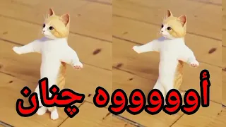  اغنية باسم  جنان الحلوة جنان  اغنية جنان السعودية تركيا الكويت العراق قطر لجزائر دبي جدة جده الرياض دندنها