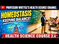 Homeostasis Keeping Balance