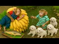 Download Lagu Very touching moments of YiYi taking care of puppy DoDo and his friends