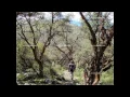 Piero - Tengo la piel cansada de la tarde