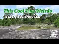 The Rare Plant Community of Heggies Rock Georgia
