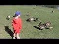 Top 4 things to do with kids in Billings Montana - with Teresa Strasser