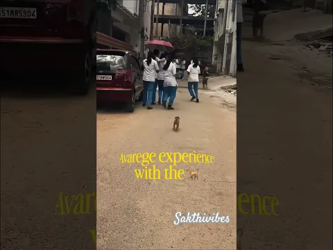 Dog  rocked Girls shocked 😂 | Insta Id: dhil_se_kyaa | #girls #streetdog #unexpected #experience