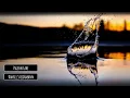 Daniel Steidtmann - Pigeon Lake
