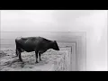 Armen Miran & Hraach - Nervous Layers