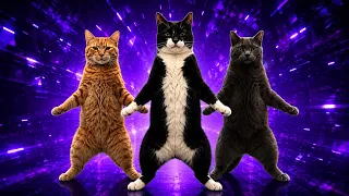 Three Cats dancing to Bemax - Basin Boret / Pasing Goreng [AMV]