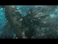 Download Lagu Godzilla vs Ghidorah Fight In The Water (Godzilla King Of The Monsters) 2019 4K Ultra HD
