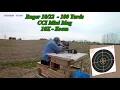 Rossi RS22 vs Ruger 10 22 at 100 Yards No 5