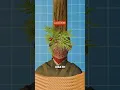 Download Lagu How Bamboo Torture Works 🤔