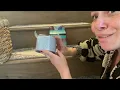 Best Rug Gripper Tape on Amazon Roberts 50-588 Carpet Tape Review Keeps Rugs in Place