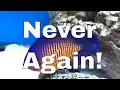 5 Saltwater Fish I Regret Buying and Why